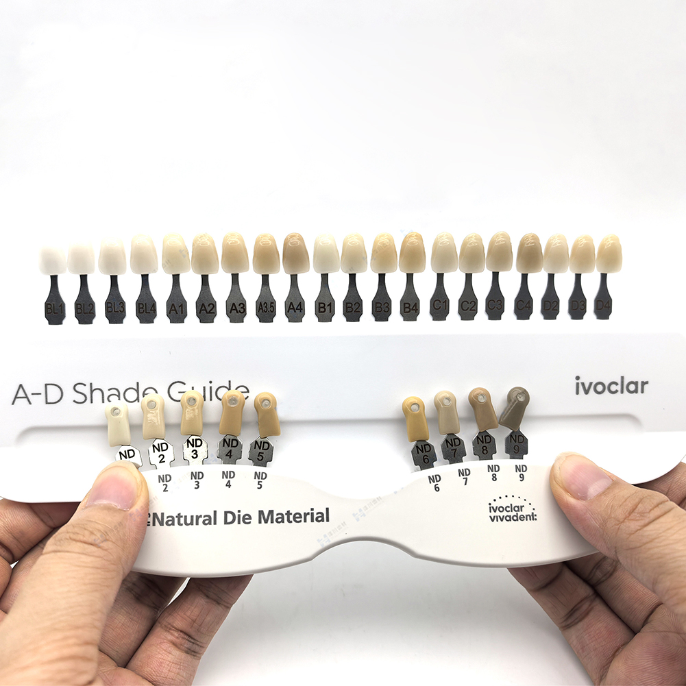 이보클라 치과 색상표 크라운 복원 표백 비교기 도자기  - Teeth Whitening Shade Guide 리뷰 및 가격