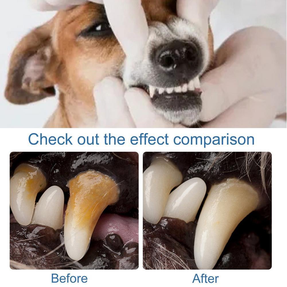 60ml 애완동물 구강 치석 제거 스프레이 딥 클렌징  - Teeth Whitening Yellow Teeth 리뷰 및 가격