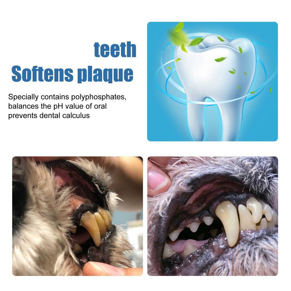 60ml 애완동물 구강 치석 제거 스프레이 딥 클렌징  - Teeth Whitening Yellow Teeth 리뷰 및 가격