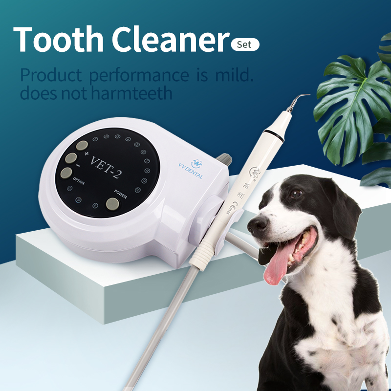애완동물 치과용 초음파 스케일러, 강아지 전문 구강 스 - Teeth Whitening Tips 리뷰 및 가격